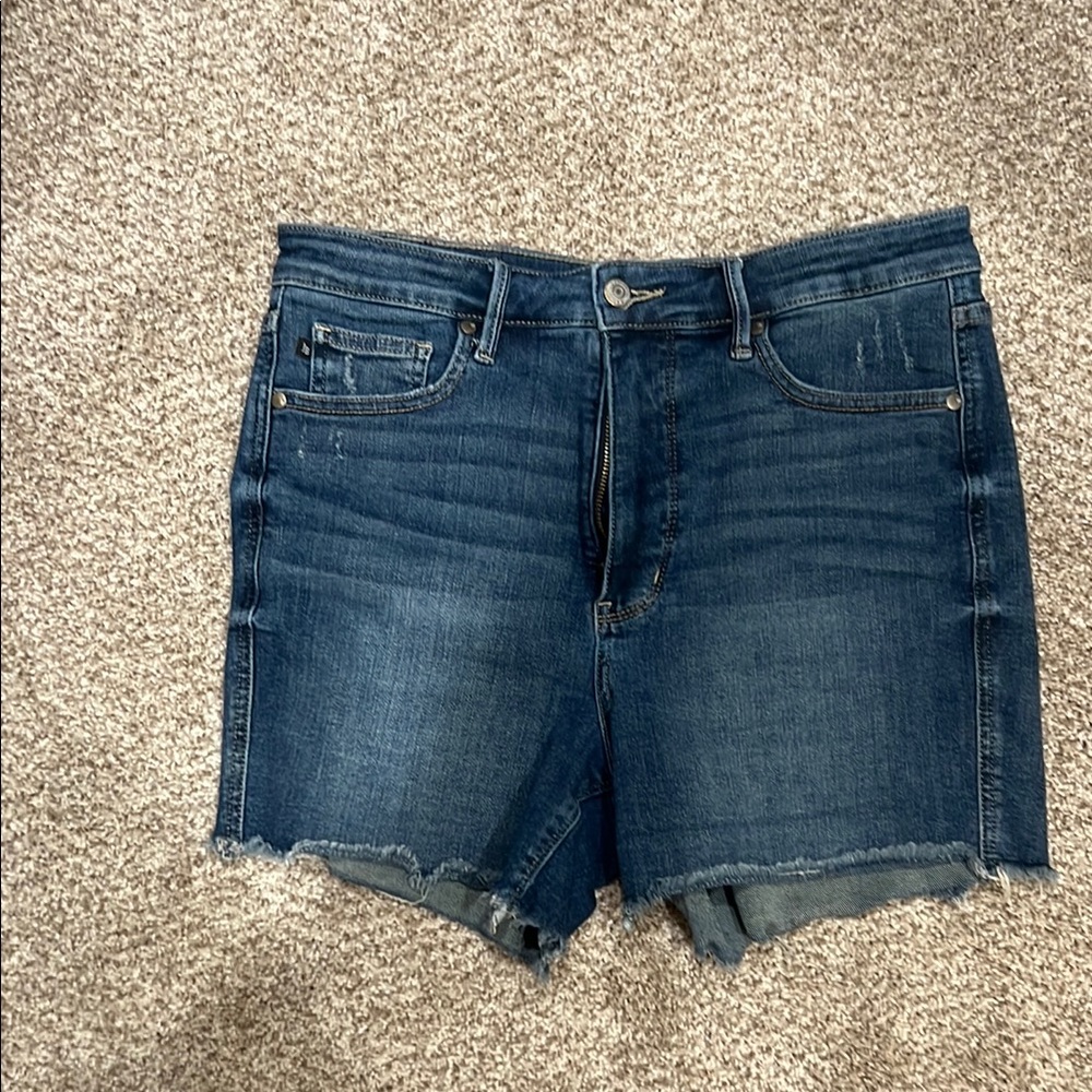 Judy Blue Dark Wash Denim Shorts